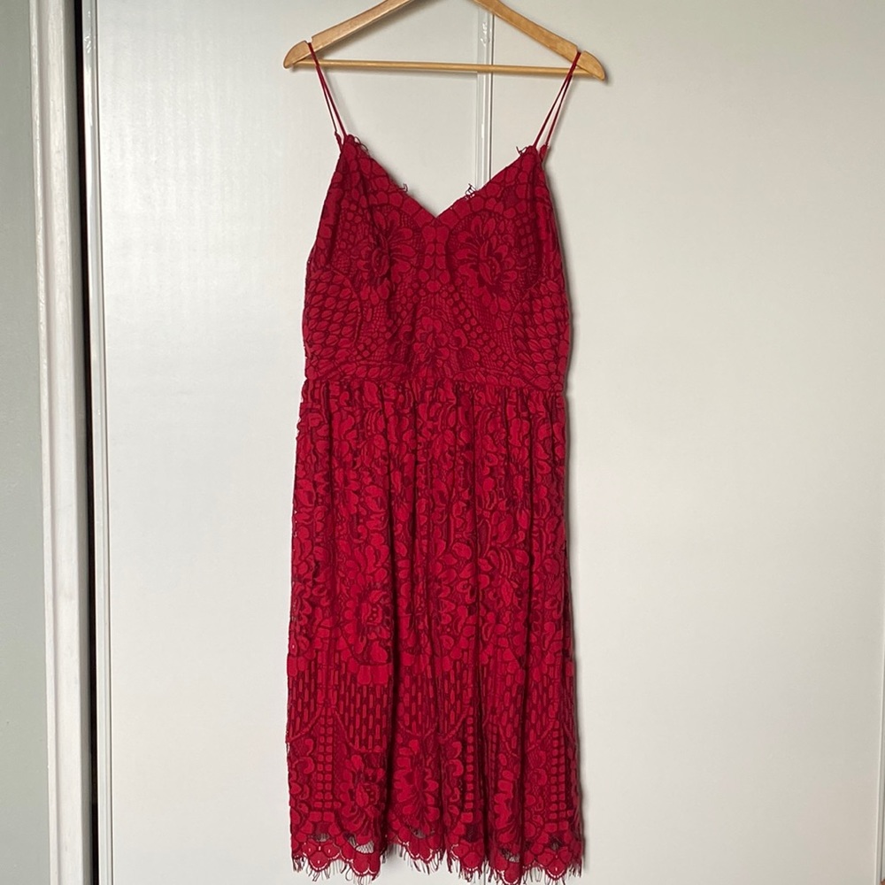 Nicole Miller Stunning lace below knee dress